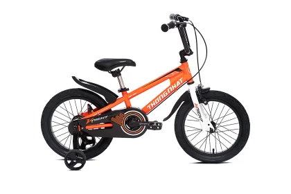 Xe đạp trẻ em Thống Nhất Neo 2003 20 inch  chính hãng giá rẻ có trả góp