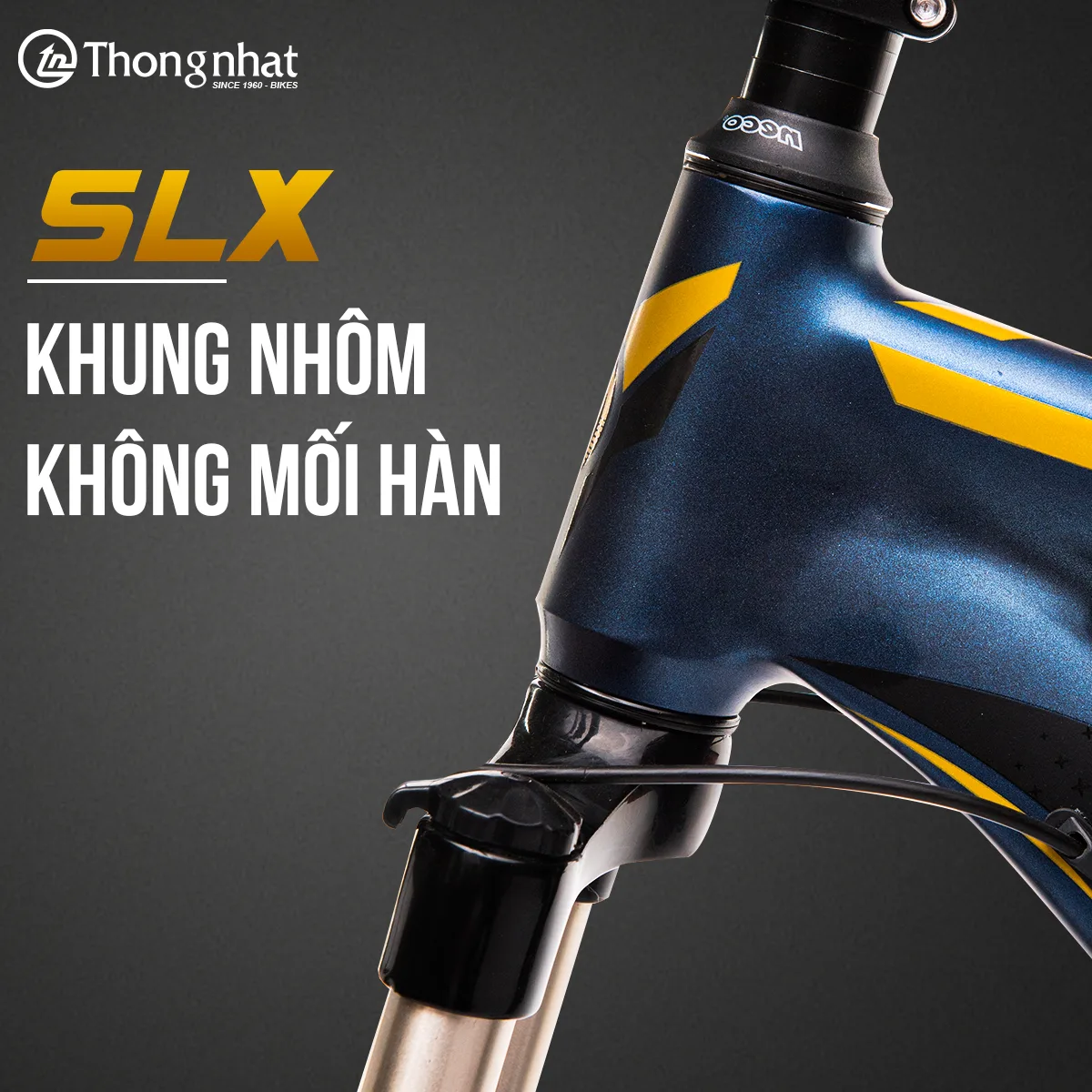 290355408 1467915667015123 1789827769210013824 n