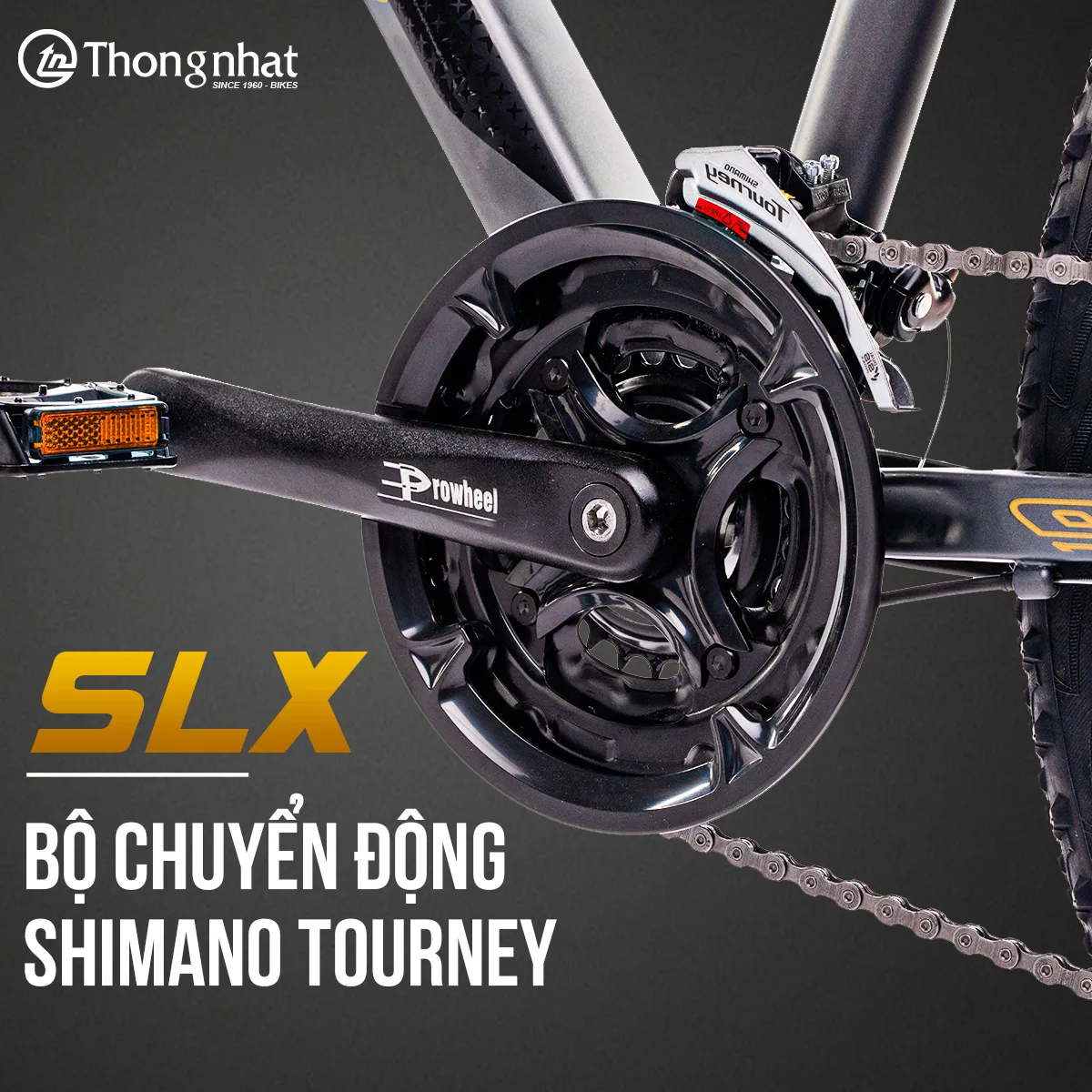 290444913 1467915557015134 1993902249290282425 n