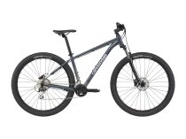 cannondale trail 8