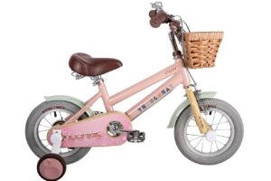 Xe đạp trẻ em Thống Nhất Love