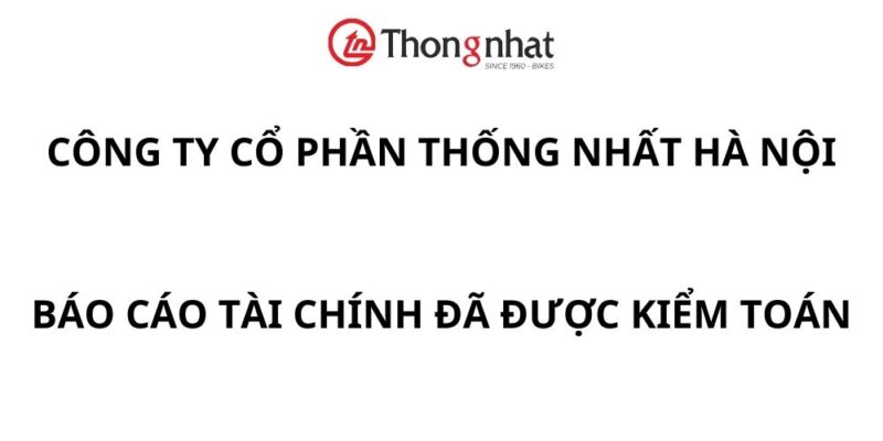 cong ty co phan thong nhat ha noi bao cao tai chinh da duoc kiem toan